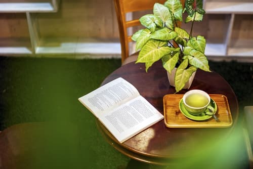 Loc Phat Hoi An Homestay - Villa, Lobby