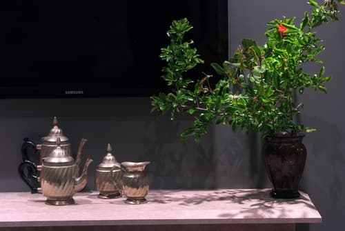 Hotel Hippocampus, Room