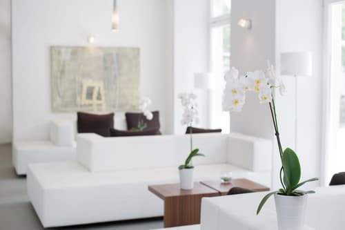 Hotel Constantia, Lobby sitting area