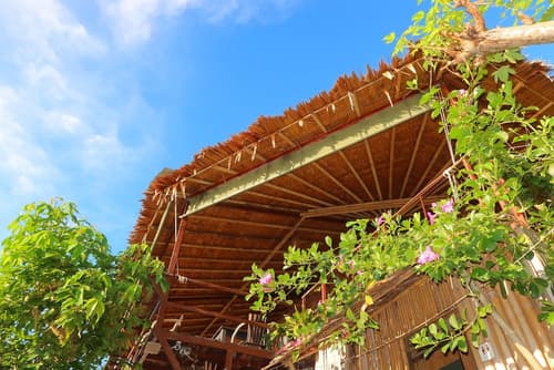 Phi Phi Sea Sky Resort, Reception