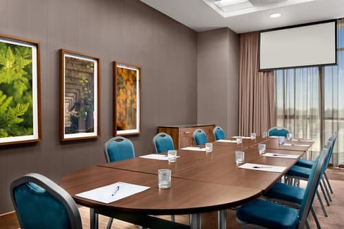 Hilton Garden Inn Sevilla, Meeting facility