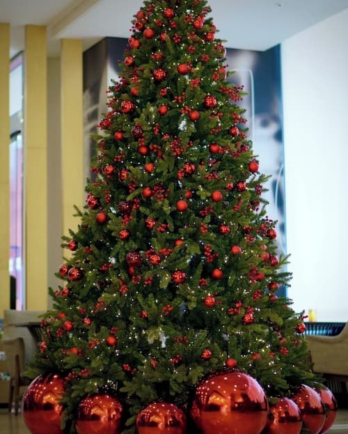 ibis Ambassador Seoul Insadong (Newly renovated in 2025), Lobby