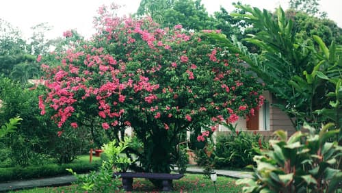 Eco Arenal Hotel, Terrace/patio