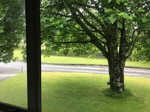 Woodland Glen Lodge, View from room