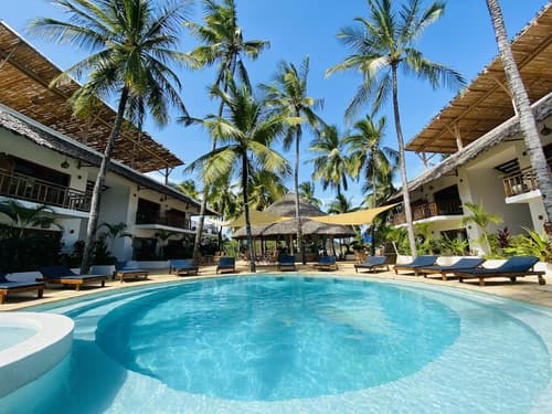 Aluna Paje, Primary image