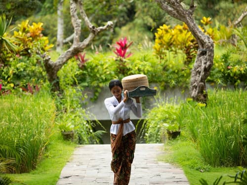 Adiwana Suweta, Reception