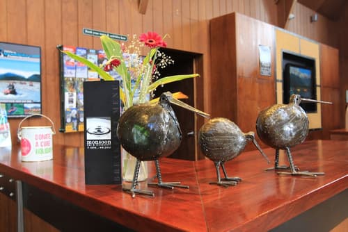 Rainforest Deluxe, Reception