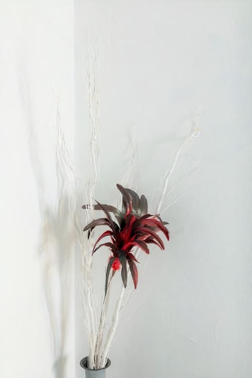 Neoklassiko Koukouli, 