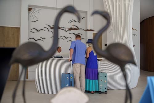 Flamingo Paradise Beach Hotel Adults Only, Reception