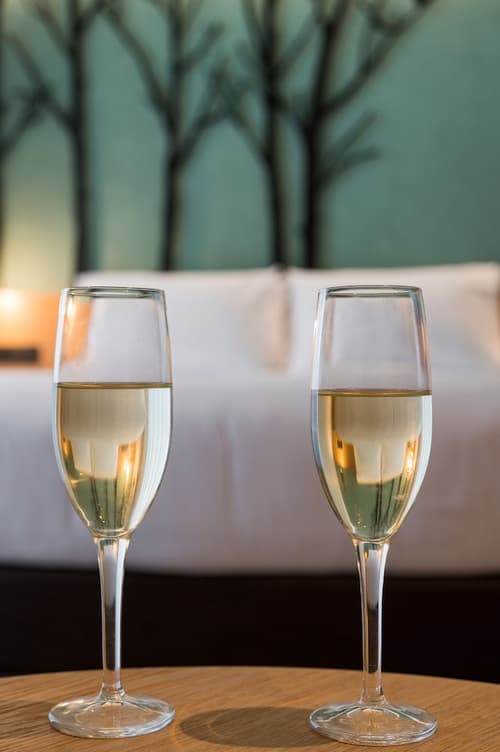 Hyperion City Hotel, Room