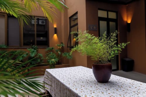 Hotel Santa Cruz, Terrace/patio