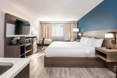 Comfort Suites Kingston Central, Room