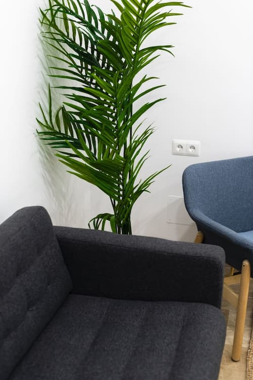 Apartamentos Toboso Plaza, Reception