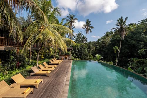 Pertiwi Bisma 1, Primary image