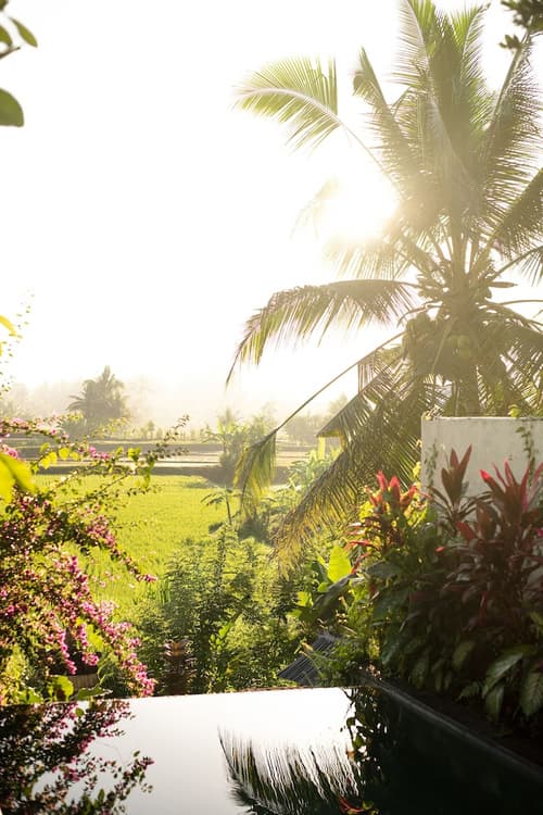 Ubud Padi Villas, Room