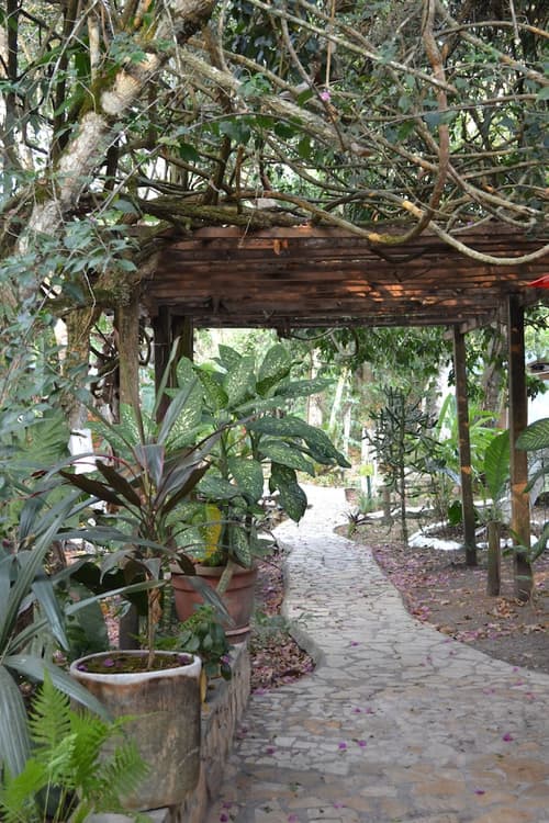 Hotel Jaguar Inn Tikal, Reception