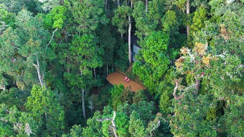 Dantica Cloud Forest Lodge, Room