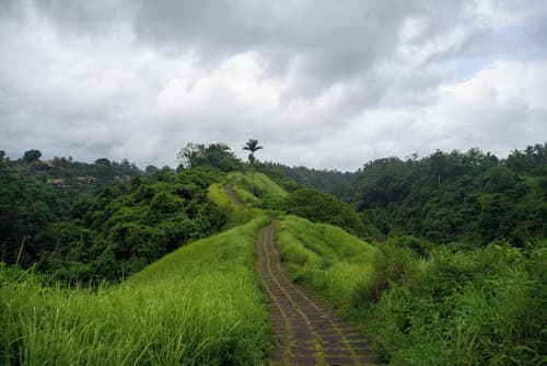 Puri Saraswati Dijiwa Ubud, Bicycling