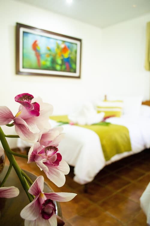 Hotel Villabosque Eco Boutique, Room