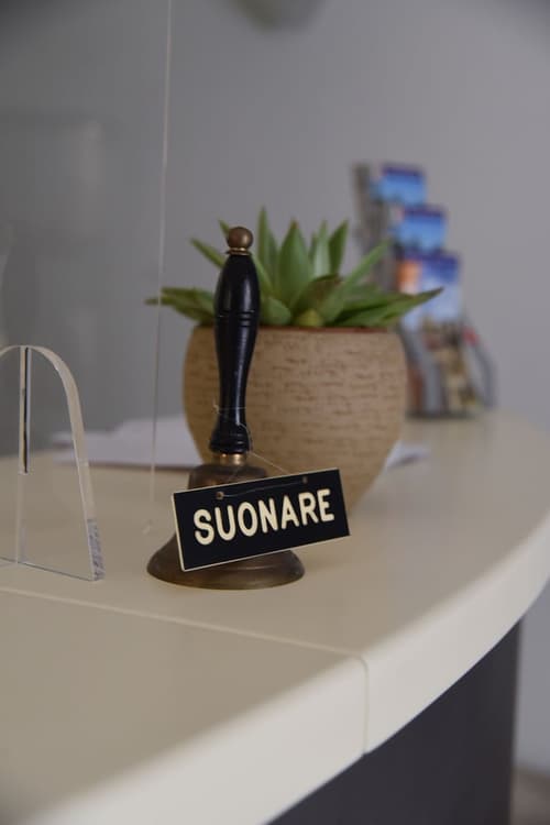 Il Piccolo Albergo Matera, Reception