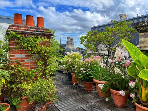 Hôtel de l'Abeille Orléans, Terrace/patio