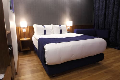 Holiday Inn Express Manisa - West by IHG, Room