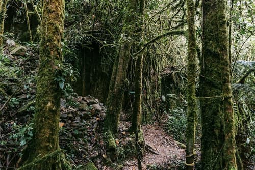Trogon Lodge, Hiking