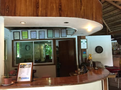 Vanilla Sky Dive Resort, Reception