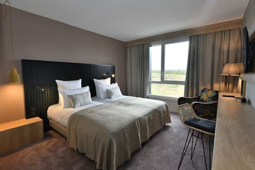 Golden Tulip Reims, Room