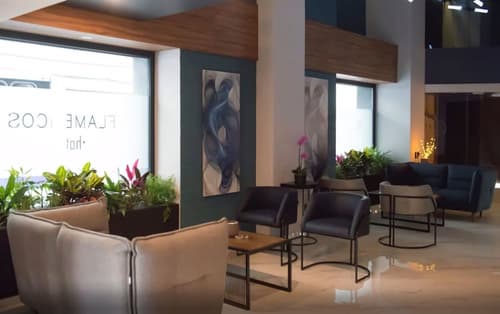 Hotel Flamencos Centro Histórico, Reception