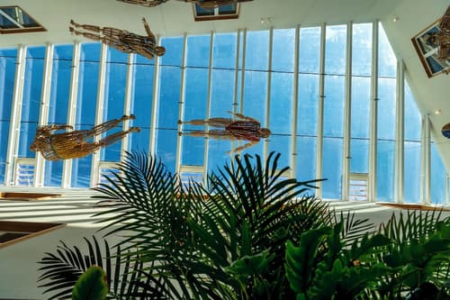 Atzavara Hotel & Spa, Reception