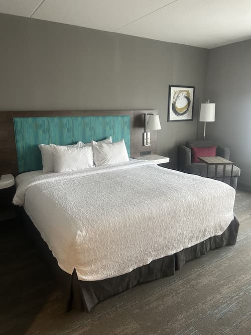 Hampton Inn by Hilton Kingston, Room