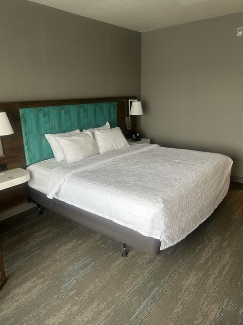 Hampton Inn by Hilton Kingston, Room