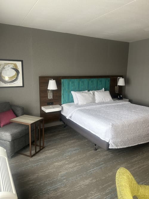 Hampton Inn by Hilton Kingston, Room