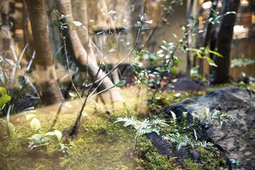 Prince Smart Inn Kyoto Sanjo, Property amenity