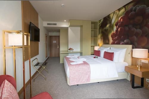 Douro Castelo Signature, Room