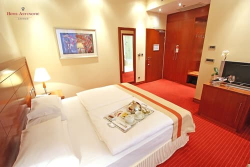 Hotel Antunovic Zagreb, Room