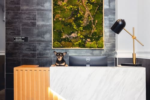 The Modernist Hotel, Reception