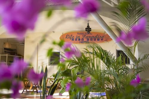 Zulu Surf Hotel, Reception