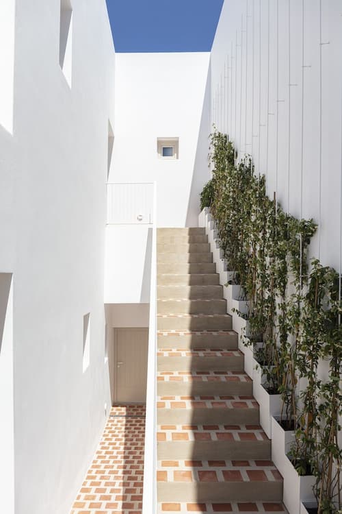 Ethos Vegan Suites, Reception