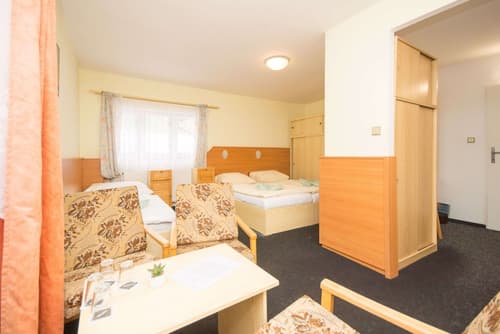 Sport Hotel Gejzírpark, Room