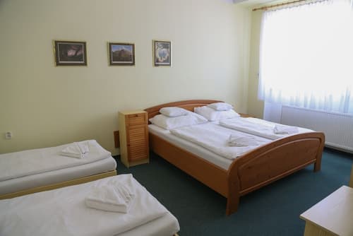 Sport Hotel Gejzírpark, Room