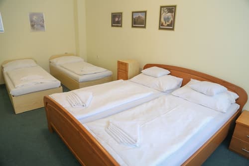 Sport Hotel Gejzírpark, Room