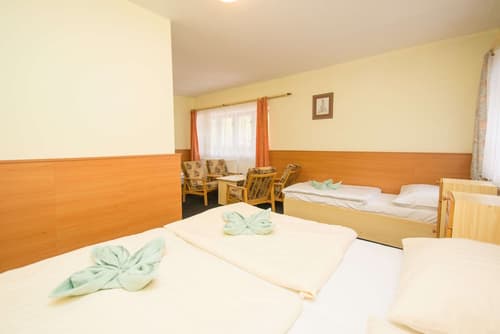 Sport Hotel Gejzírpark, Room