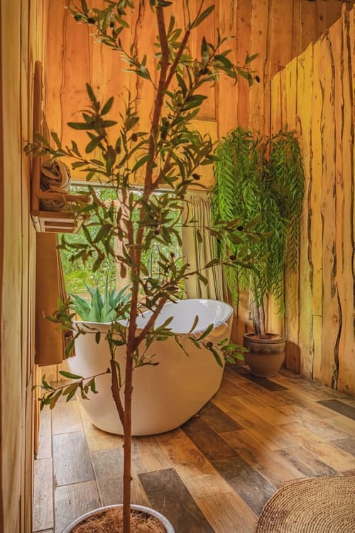 Hotel & Spa El Escondite de la Montaña, Primary image