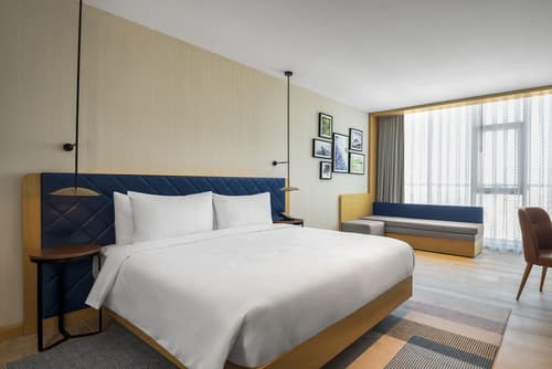 Hilton Garden Inn Balikesir, Room