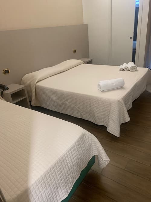 Hotel Royal Plaza, Room