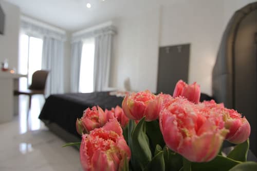 Hotel Presidente, Room