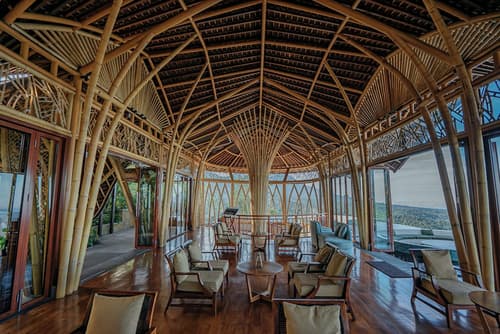 Elevate Bali, Reception