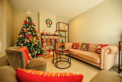 Saska Boutique, Reception